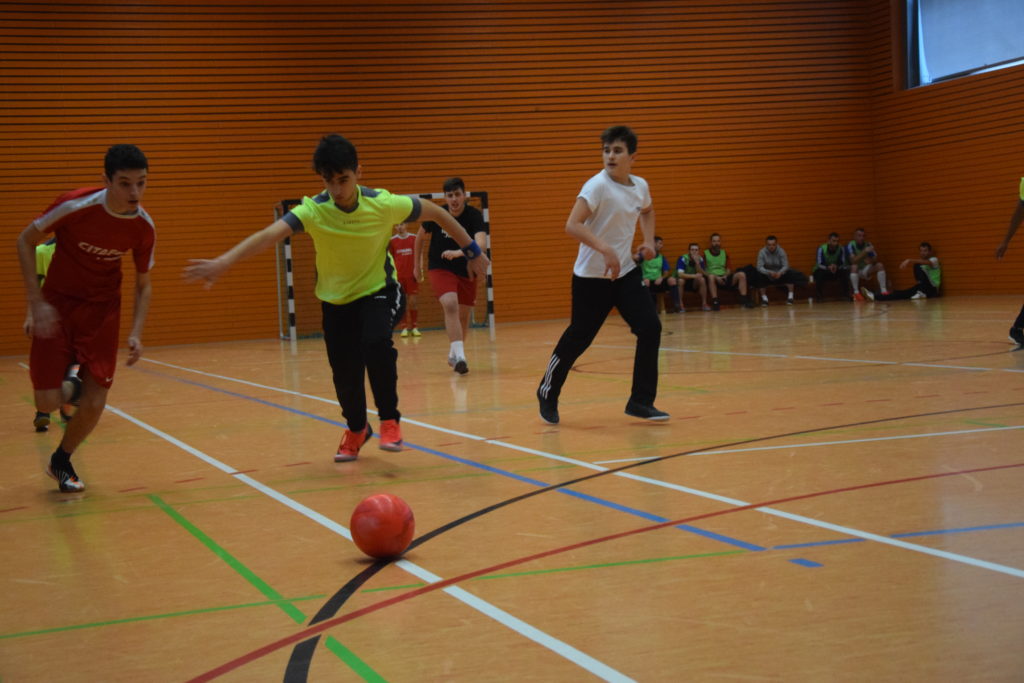 dsc 0089 1024x683