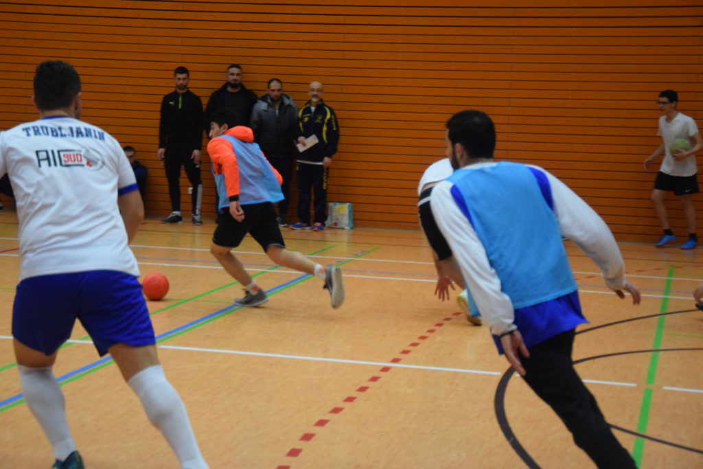 dsc 0428 1 1024x683